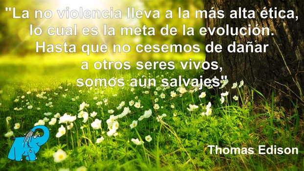 Una Enseñanza de Thomas Edison en la Frase del Día del Elefante Azul de Avilés.